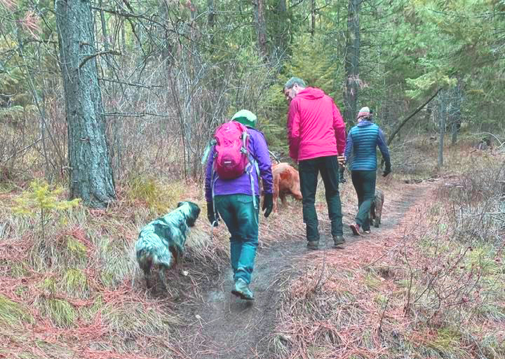 Hikers and Dogs Featured Park Mount Emily Recreation Area