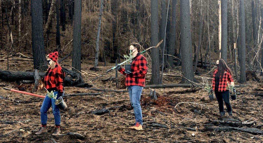 People in Forest with Seedlings