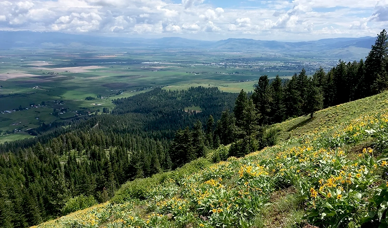 MERA View of Mountains and Fields by Eric Valentine