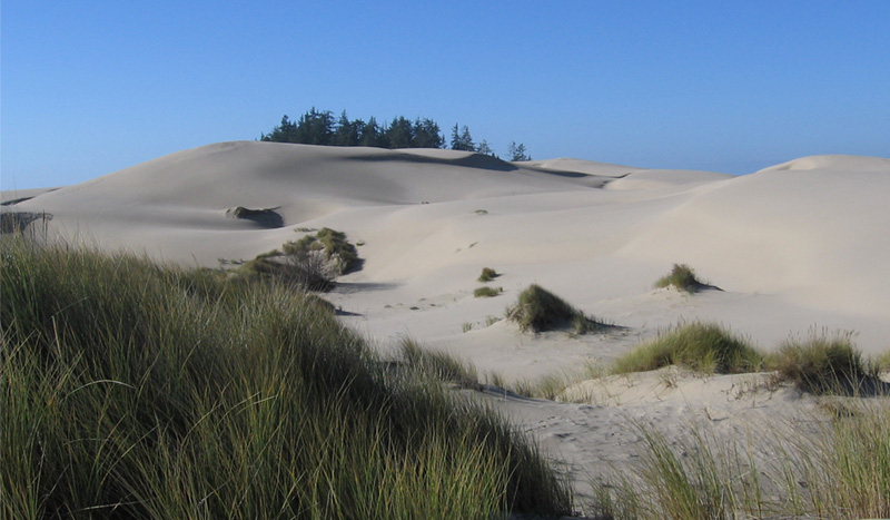 Sand DUnes