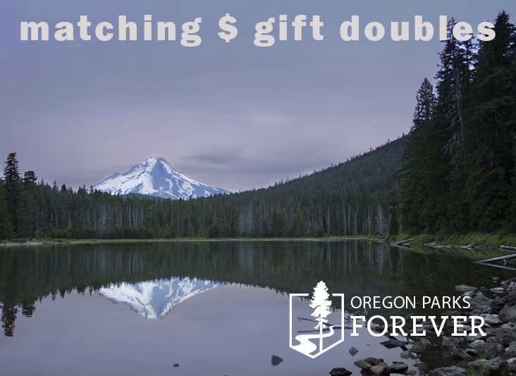 Morgan Lake Track Trails Kiosk